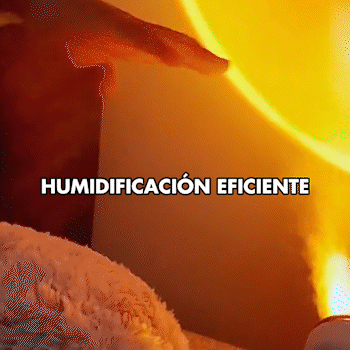 NUEVO HUMIDIFICADOR DE FLORES