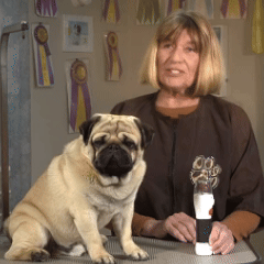 LIMADOR ELÉCTRICO DE UÑAS CANINO Y FELINO